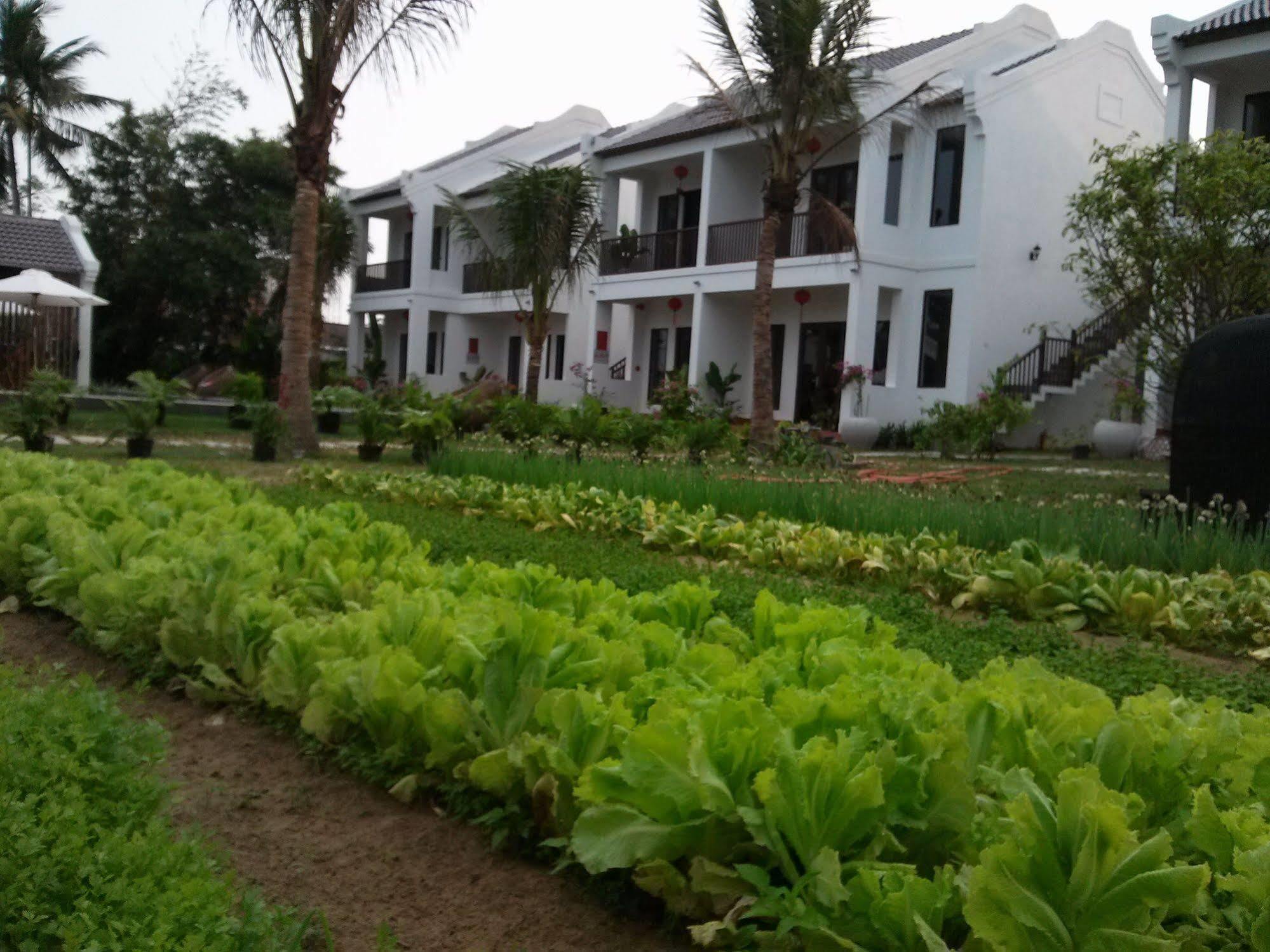 GEM Hoi An Villa Esterno foto